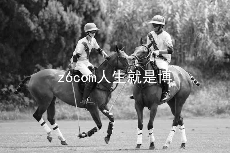 z6com人生就是博